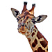 Large Giraffe Head Graphic
